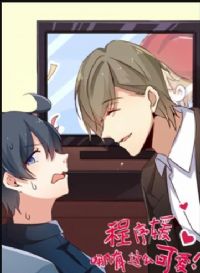 ������������ô�ɰ� ��̬����