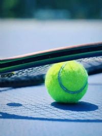 WTA�ϰ�վ�����գ���������VS�����